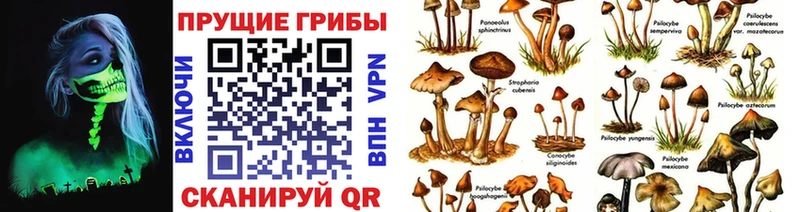 ОМГ ОМГ как войти  Ковылкино  Галлюциногенные грибы мицелий 